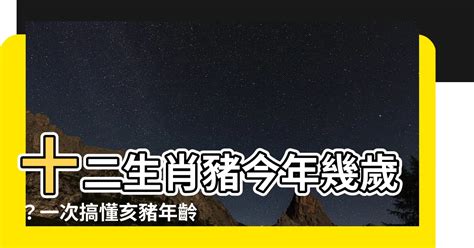 屬豬幾年次|屬豬今年幾歲？2024屬豬生肖年齡對照表！屬豬性格特質